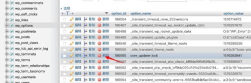 WordPress另一更新正在进行解决方法