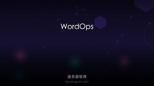 WordOps – LNMP/WordPress服务器管理工具