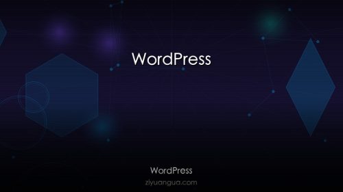 WordPress – 全球最流行的博客和CMS系统