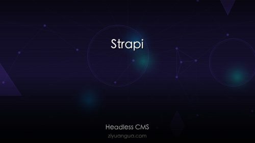 Strapi – 领先的开源Headless CMS