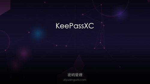 KeePassXC – 开源密码管理器，安全存储密码