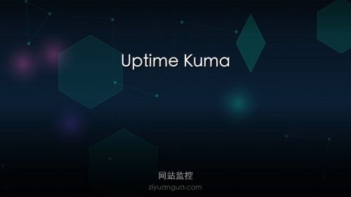 Uptime Kuma – 开源网站监控工具