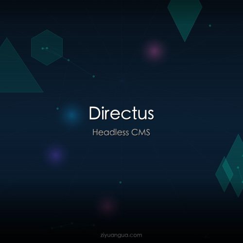 Directus – 开源Headless CMS和数据平台