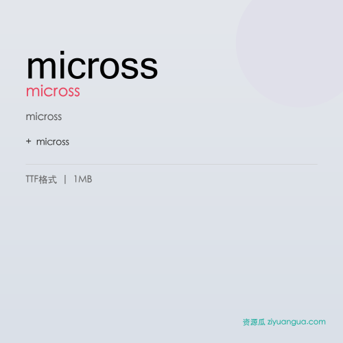 micross – micross