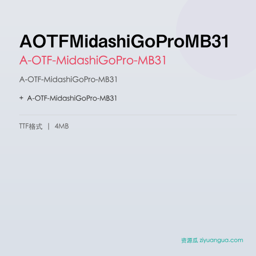 AOTFMidashiGoProMB31 – A-OTF-MidashiGoPro-MB31